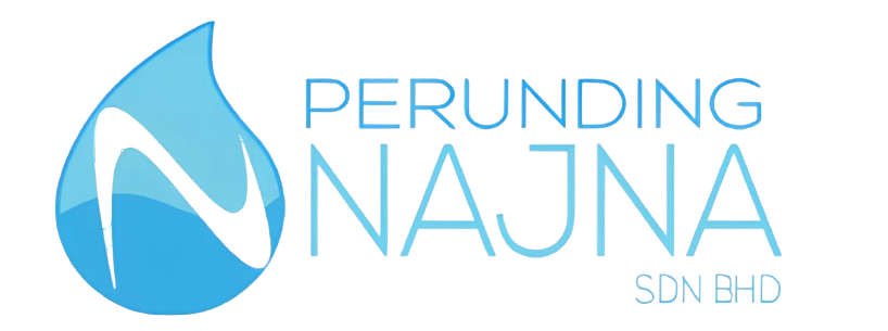 PNSB Logo